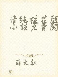 清纯校花堕落记小说免费阅读allimine封面