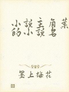 小说主角叶无道的小说名