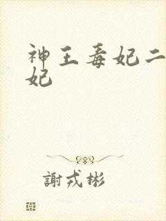 神王毒妃二嫁王妃