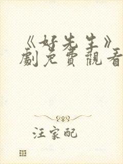 《好先生》电视剧免费观看高清