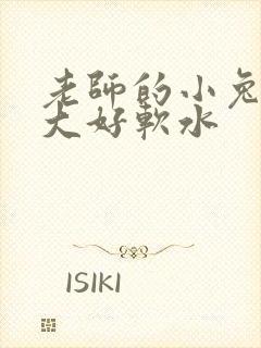老师的小兔子好大好软水