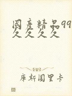 国产精品99久久久久久