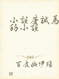 小说唐诚马玉婷的小说