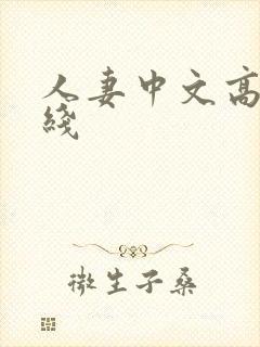 人妻中文高清在线