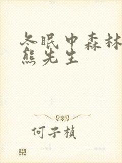 冬眠中森林里的熊先生