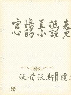 官场直抵夫人花心的小说免费阅读全