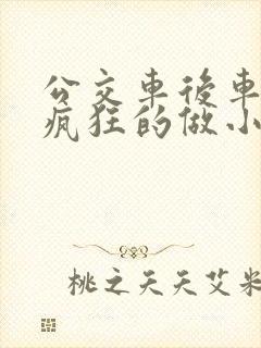 公交车后车座的疯狂的做小