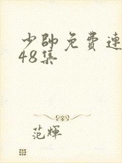 少帅免费连续剧48集