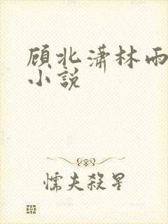 顾北潇林雨菲的小说封面