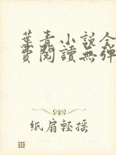 叶青小说全文免费阅读无弹窗封面