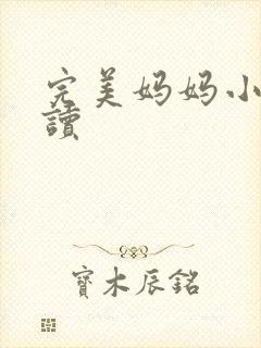 完美妈妈小说阅读封面