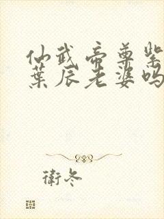 仙武帝尊紫萱是叶辰老婆吗