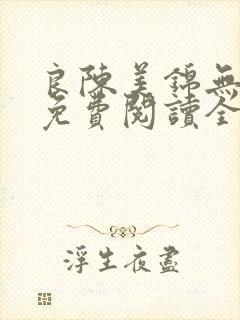 良陈美锦无弹窗免费阅读全文