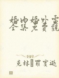 婚内婚外电视剧全集免费观看高清星辰影院