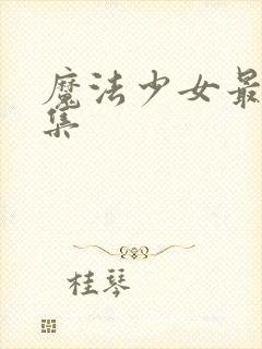 魔法少女最后一集