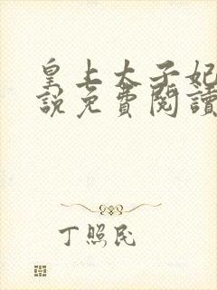 皇上太子妃的小说免费阅读封面