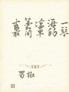 古筝沧海一声笑最简单的琴谱