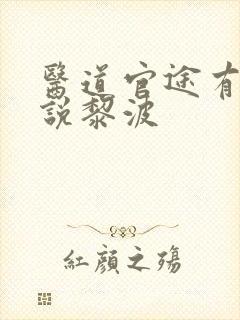 医道官途有声小说黎波封面