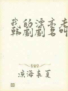 我的漂亮老板娘韩剧剧名叫什么