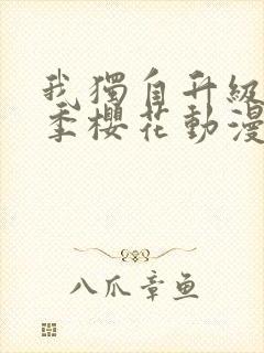 我独自升级第一季樱花动漫封面