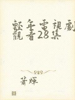 轻年电视剧在线观看28集