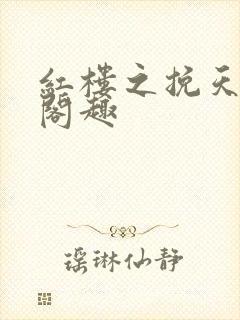 红楼之挽天倾笔阁趣