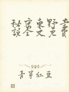 秘密东野圭吾小说全文免费阅读