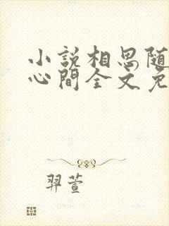 小说相思随你入心间全文免费阅读