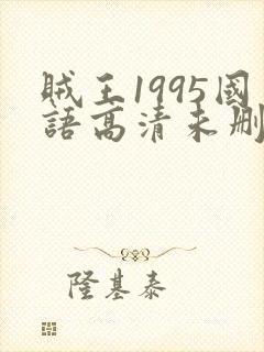 贼王1995国语高清未删减版137分钟免费观看