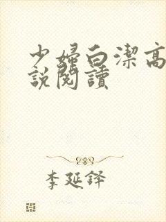 少妇白洁高义小说阅读