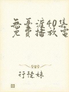 无忧渡40集全免费播放电视剧封面