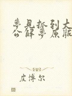 梦见抓到大鱼周公解梦原版