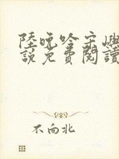 陆晚吟宋屿风小说免费阅读最新章节封面