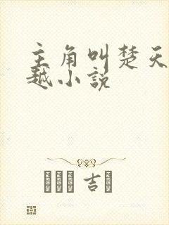 主角叫楚天的穿越小说