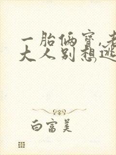 一胎俩宝,老婆大人别想逃免费阅读