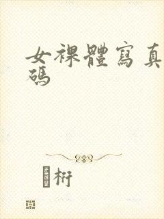 女裸体写真无打码