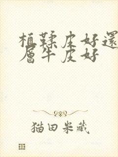 植鞣皮好还是头层牛皮好