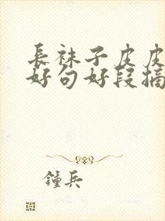 长袜子皮皮好词好句好段摘抄封面