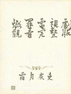 燃罪电视剧免费观看完整版高清