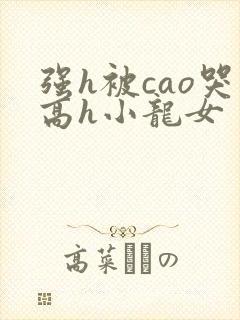 强h被cao哭高h小龙女