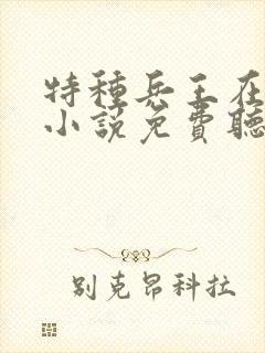 特种兵王在山村小说免费听封面