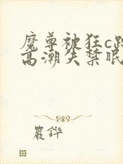 魔尊被狂c躁到高潮失禁眠春浅封面