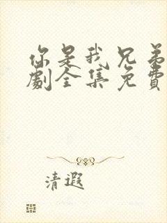 你是我兄弟电视剧全集免费观看高清