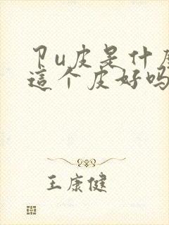 卩u皮是什么皮这个皮好吗