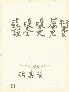 苏暖暖厉衍琛小说全文免费阅读