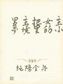 男主把女主拖进梦境里的小说