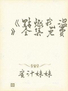 《点燃我温暖你》全集免费电视剧