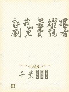 许我最耀眼电视剧免费观看高清