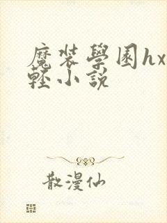 魔装学园hxh轻小说