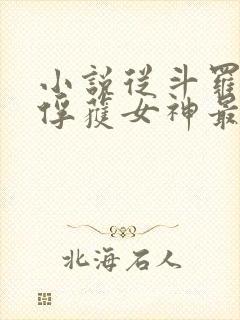 小说从斗罗开始俘获女神最新章节